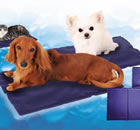 large gel ice pack for pet